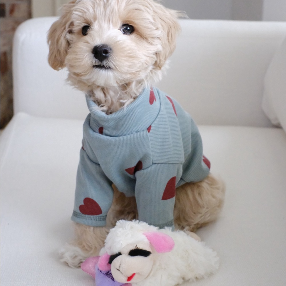 Blue Dog Sweater with Red Hearts